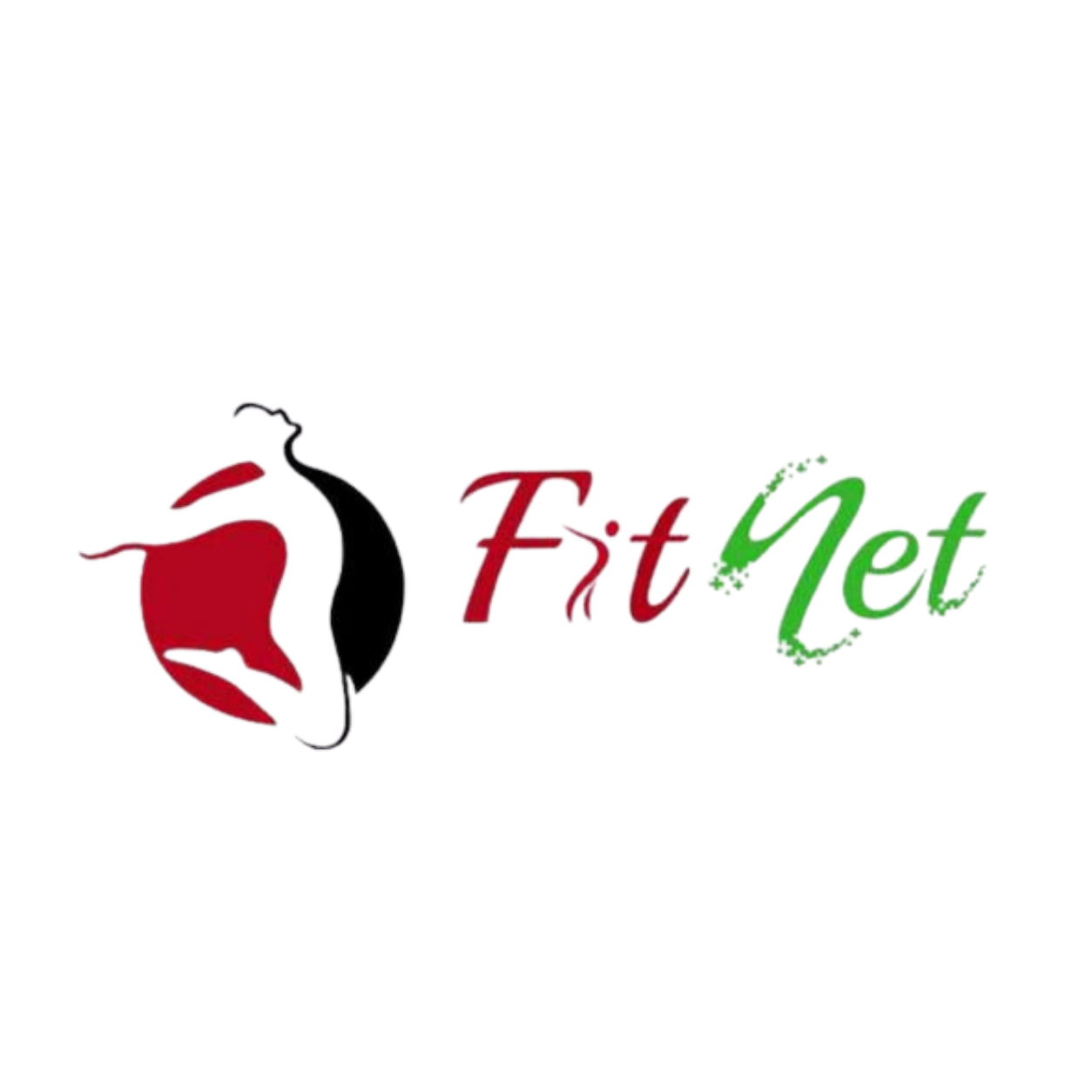 FitNet